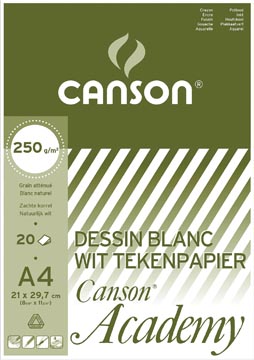 Canson bloc de dessin academy, ft 21 x 29,7 cm (a4)