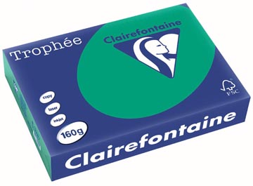 Clairefontaine Trophée Intens, papier couleur, A4, 160 g, 250 feuilles, vert sapin