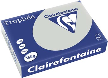 Clairefontaine trophée pastel, papier couleur, a4, 160 g, 250 feuilles, gris clair