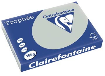 Clairefontaine trophée pastel, papier couleur, a3, 160 g, 250 feuilles, gris clair