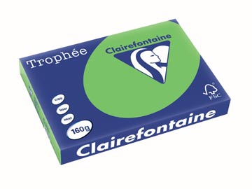 Clairefontaine trophée intens, papier couleur, a3, 160 g, 250 feuilles, vert menthe