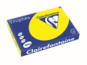 Clairefontaine trophée intens, papier couleur, a3, 160 g, 250 feuilles, jaune soleil