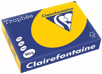 Clairefontaine trophée intens, papier couleur, a4, 160 g, 250 feuilles, jaune tournesol