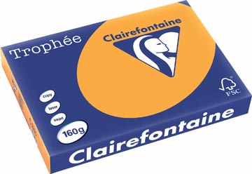 Clairefontaine trophée pastel, papier couleur, a3, 160 g, 250 feuilles, clémentine