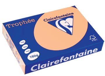 Clairefontaine trophée pastel, papier couleur, a4, 160 g, 250 feuilles, saumon