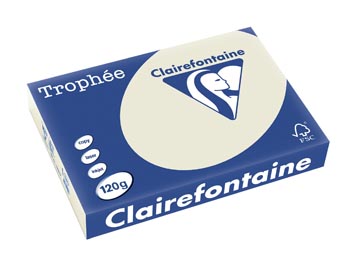 Clairefontaine trophée pastel, papier couleur, a4, 120 g, 250 feuilles, gris perle