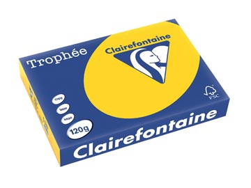 Clairefontaine trophée pastel, papier couleur, a4, 120 g, 250 feuilles, bouton d'or