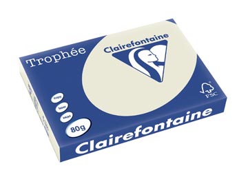 Clairefontaine trophée pastel, papier couleur, a3, 80 g, 500 feuilles, gris perle