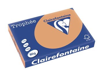Clairefontaine trophée pastel, papier couleur, a3, 80 g, 500 feuilles, caramel