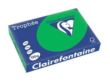 Clairefontaine trophée intens, papier couleur, a4, 120 g, 250 feuilles, vert billard