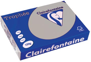 Clairefontaine trophée pastel, papier couleur, a4, 120 g, 250 feuilles, gris clair