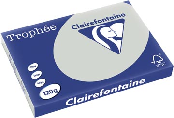 Clairefontaine trophée pastel, papier couleur, a3, 120 g, 250 feuilles, gris clair