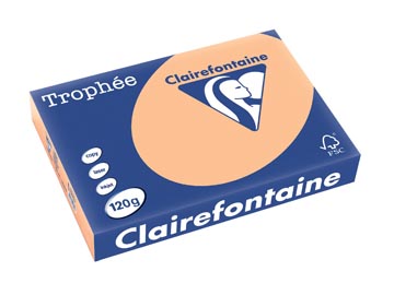 Clairefontaine trophée pastel, papier couleur, a4, 120 g, 250 feuilles, abricot