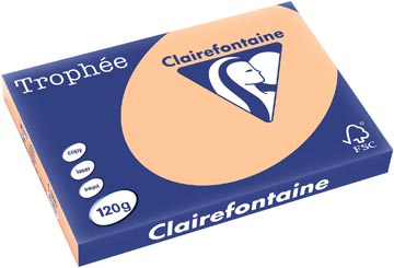 Clairefontaine trophée pastel, papier couleur, a3, 120 g, 250 feuilles, abricot