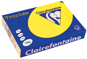 Clairefontaine trophée intens, papier couleur, a4, 120 g, 250 feuilles, jaune soleil