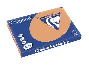 Clairefontaine trophée pastel, papier couleur, a3, 120 g, 250 feuilles, caramel