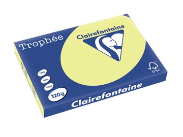 Clairefontaine trophée pastel, papier couleur, a3, 120 g, 250 feuilles, jonquille