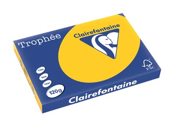 Clairefontaine trophée intens, papier couleur, a3, 120 g, 250 feuilles, jaune tournesol