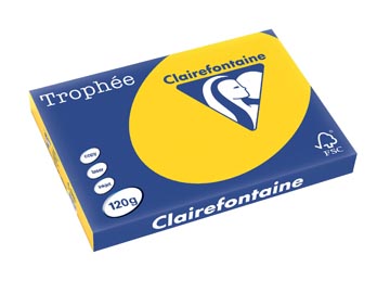 Clairefontaine trophée pastel, papier couleur, a3, 120 g, 250 feuilles, bouton d'or