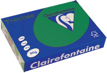 Clairefontaine trophée intens, papier couleur, a4, 80 g, 500 feuilles, vert sapin