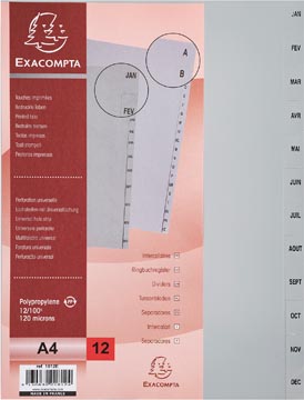 Exacompta intercalaires mensuel a4, en pp, 12 onglets, jan-déc, gris, français