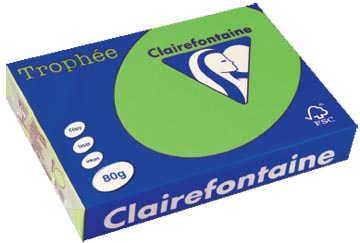 Clairefontaine trophée intens, papier couleur, a4, 80 g, 500 feuilles, vert menthe