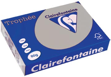 Clairefontaine trophée papier couleur, a4, 80 g, 500 feuilles, gris clair