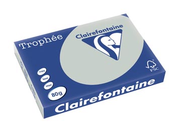 Clairefontaine trophée pastel, papier couleur, a3, 80 g, 500 feuilles, gris clair