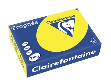 Clairefontaine trophée intens, papier couleur, a4, 210 g, 250 feuilles, jaune soleil