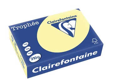 Clairefontaine trophée pastel, papier couleur, a4, 210 g, 250 feuilles, jaune canari