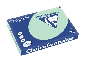 Clairefontaine trophée pastel, papier couleur, a3, 160 g, 250 feuilles, vert