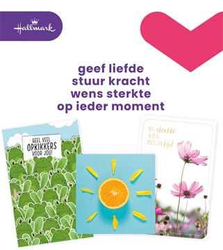 Hallmark set de recharge cartes de souhaits, courage (nl), paquet de 12 pièces
