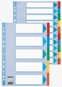 Esselte intercalaires pour ft a4 carton 10 onglets perforée avec 23 anneaux