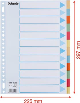 Esselte intercalaires 12 onglets, carton de 275 g/m²