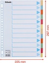 Esselte intercalaires 12 onglets, carton de 275 g/m²