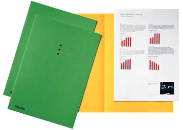 Esselte chemise de classement, vert, carton de 180 g/m², paquet de 100 pièces