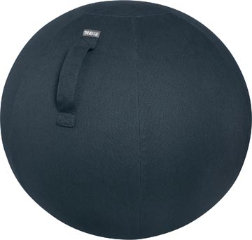 Leitz ergo cosy ballon d'assise active, gris