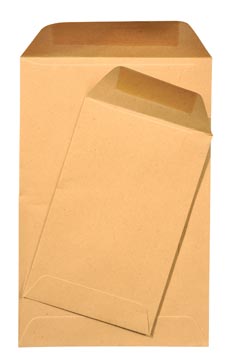 [017052] Gallery enveloppes de paie ft 65 x 105 mm