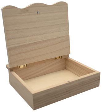 [100119] Graine créative coffret bricolage