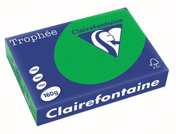 [1007C] Clairefontaine trophée intens, papier couleur, a4, 160 g, 250 feuilles, vert billard
