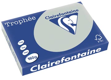 [1010C] Clairefontaine trophée pastel, papier couleur, a3, 160 g, 250 feuilles, gris clair