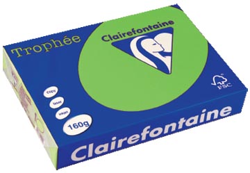[1025C] Clairefontaine trophée intens, papier couleur, a4, 160 g, 250 feuilles, vert menthe