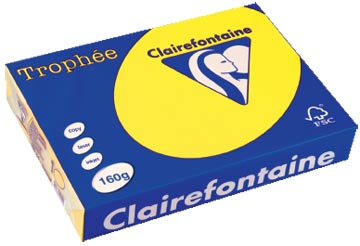 [1029C] Clairefontaine trophée intens, papier couleur, a4, 160 g, 250 feuilles, jaune soleil