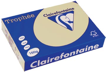 [1040C] Clairefontaine trophée pastel, papier couleur, a4, 160 g, 250 feuilles, chamois