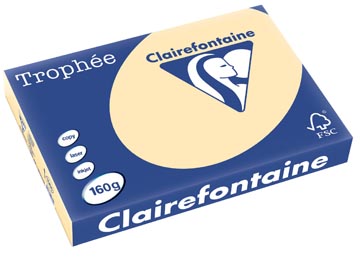 [1066C] Clairefontaine trophée pastel, papier couleur, a3, 160 g, 250 feuilles, chamois