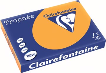 [1067C] Clairefontaine trophée pastel, papier couleur, a3, 160 g, 250 feuilles, clémentine
