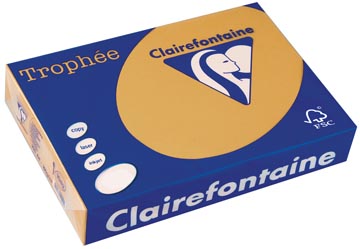 [1102C] Clairefontaine trophée pastel, papier couleur, a4, 160 g, 250 feuilles, caramel