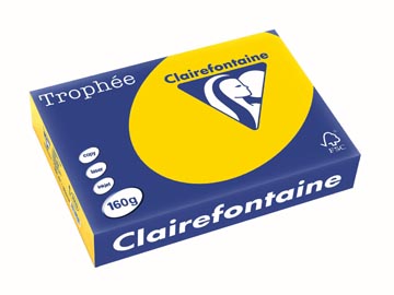 [1103C] Clairefontaine trophée pastel, papier couleur, a4, 160 g, 250 feuilles, bouton d'or