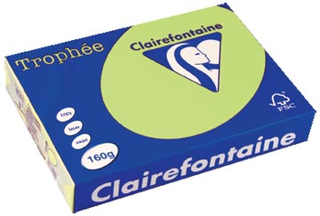 [1107] Clairefontaine trophée pastel, papier couleur, a4, 160 g, 250 feuilles, vert golf
