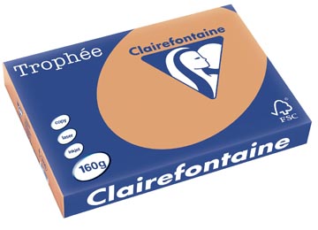 [1109C] Clairefontaine trophée pastel, papier couleur, a3, 160 g, 250 feuilles, caramel